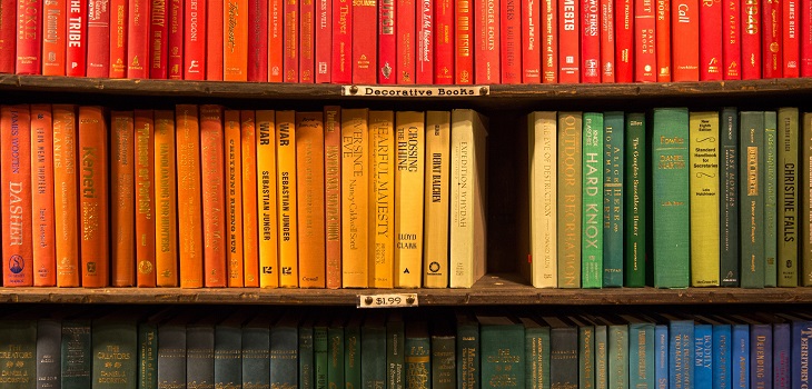 Photo of Book Shelves for 5 Creative Book Titles Blog Post Notes of Oak Literary Blog