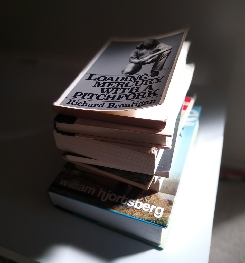 Photo of Notes of Oak Blogger Hannah Huff's Richard Brautigan creative book titles collection