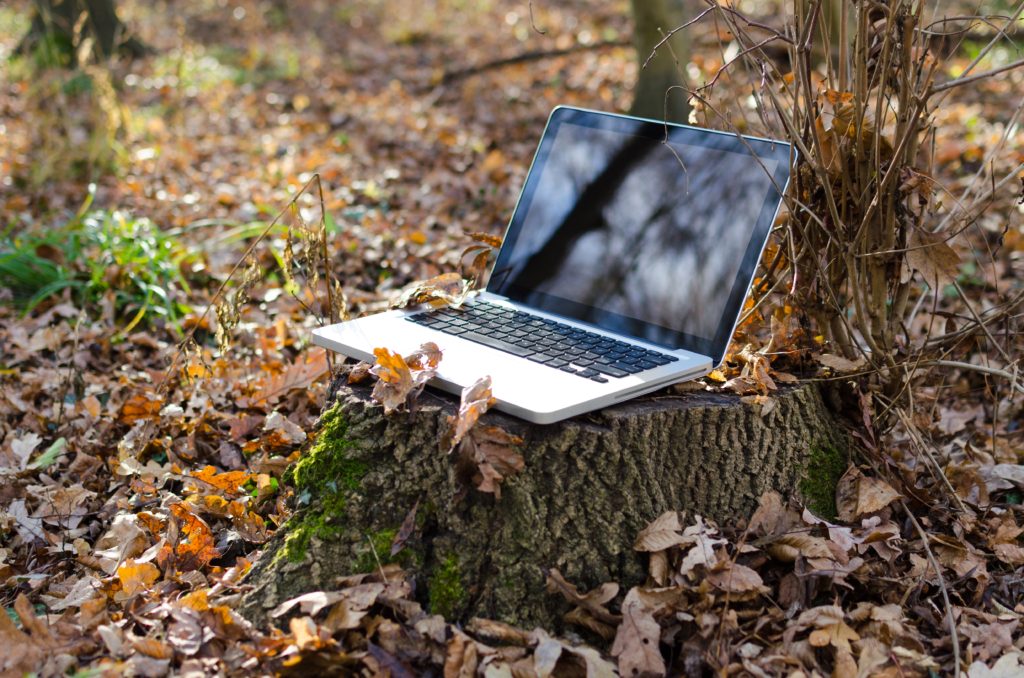 Image of laptop on stump in forest for literary submissions ritual