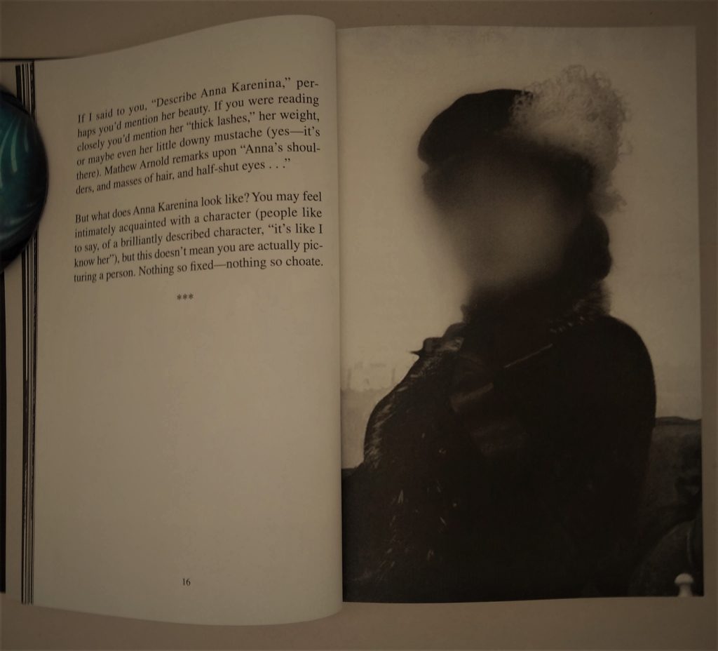 Photo of What We See When We Read inside pages for book review