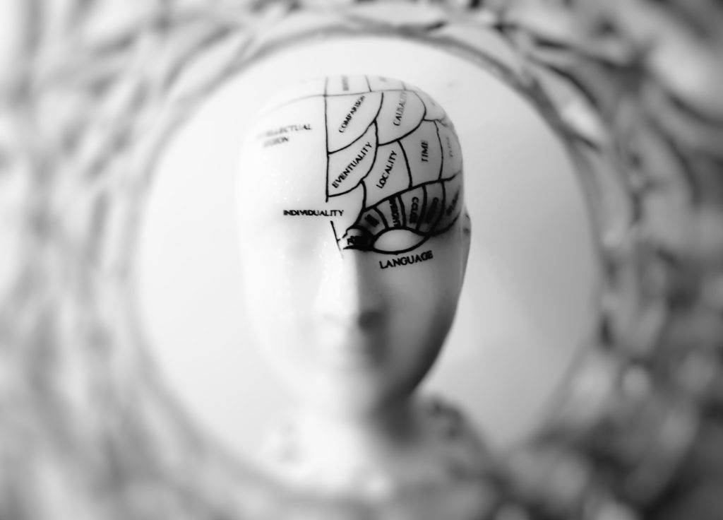Image of head representing phrenology of seeing