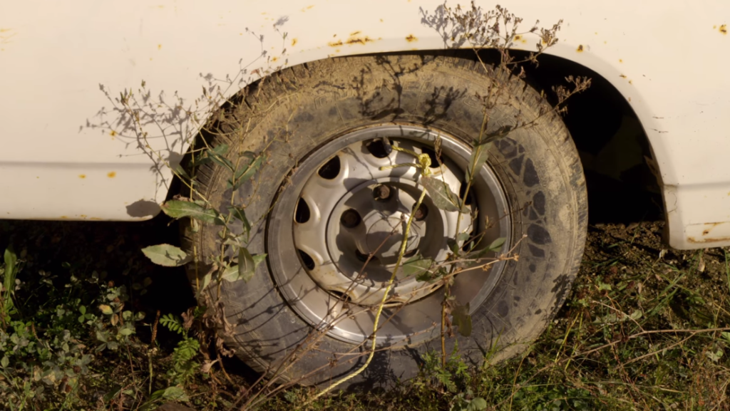 Image of classic car tire surrounded by plants.