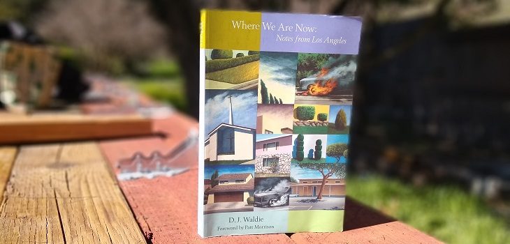 Photo of Where Are We Now by DJ Waldie Book Review